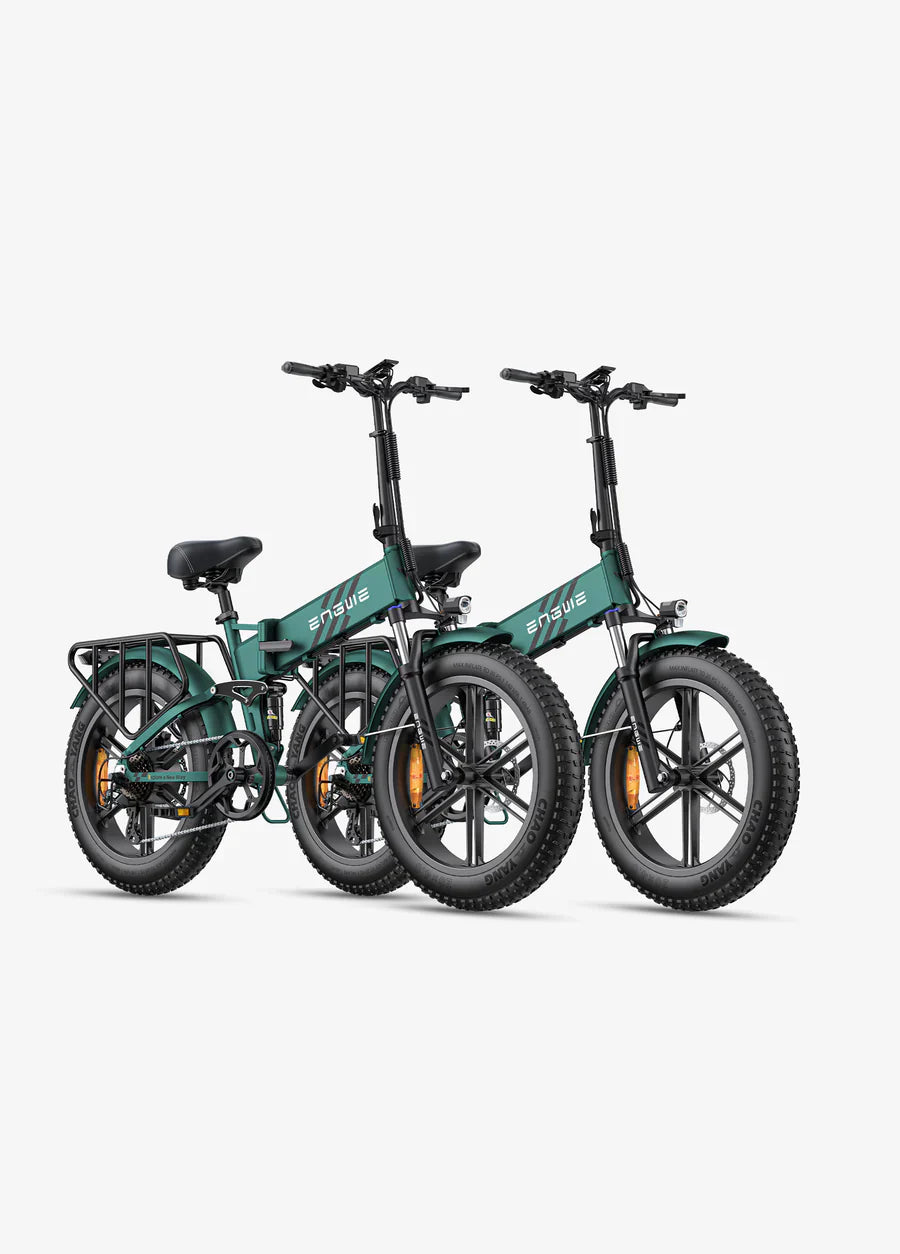 Engwe Pro 2.0 750W 20" Fat Bike 768Wh Foldable E-Mountain Bike with Torque Sensor 48V 16Ah Battery